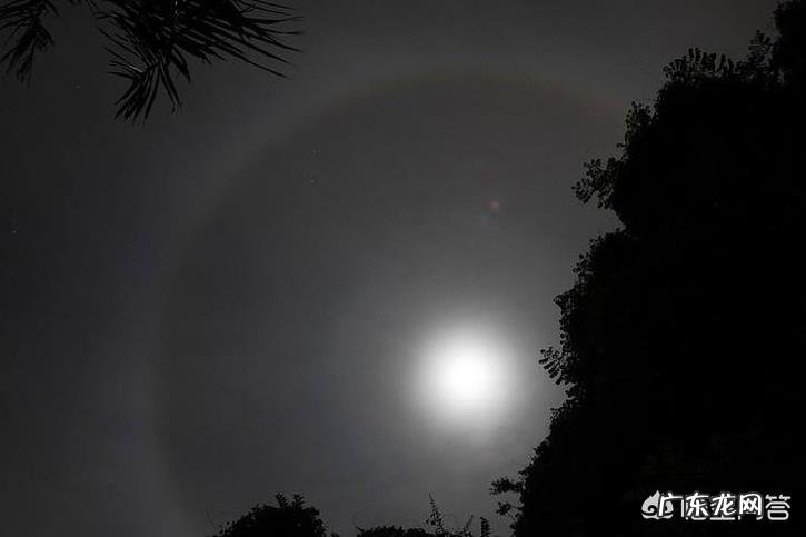 “月晕而风,础润而雨”你能谈谈这句话的含义吗?