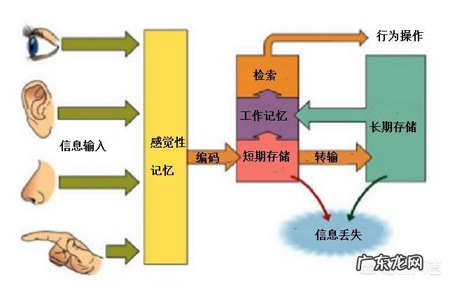 为什么有的梦感觉很真实,但起来后却只记得一点或完全忘记?