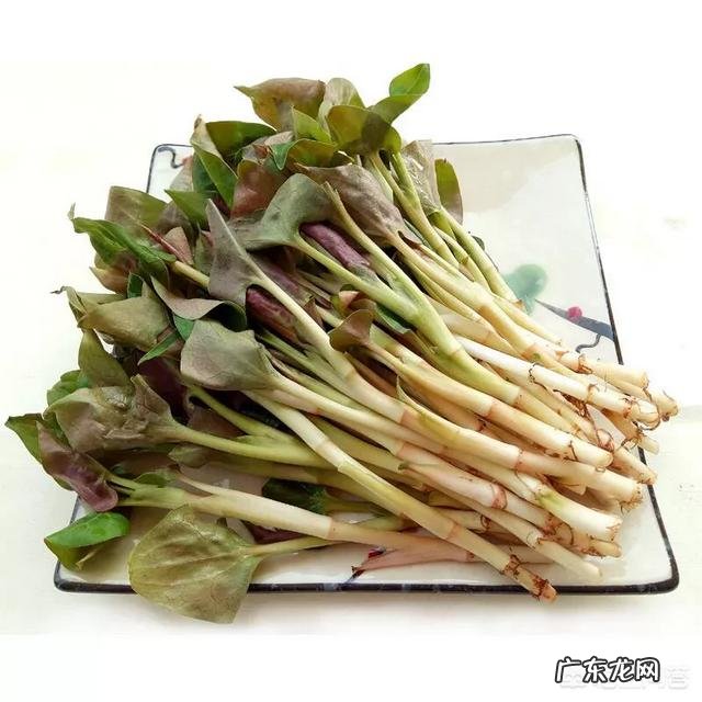 鱼腥草怎么做最好吃?