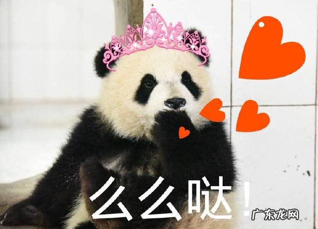 除了吃粽子,你的家乡还有哪些端午习俗?