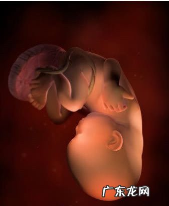 怀孕九个月注意什么 怀孕九个月