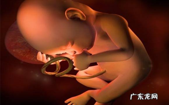 怀孕九个月的孕妇 怀孕九个月