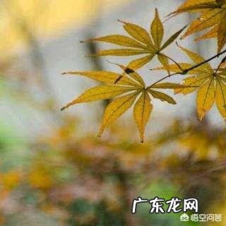 怎样才能让女生爱上你?