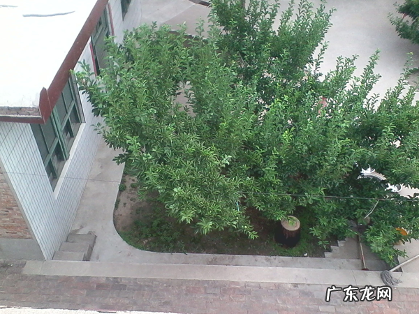 在院子里盖屋风水好吗 盖房要看风水吗