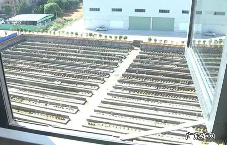 房中奇葩之坟景房 靠近墓地的房子风水