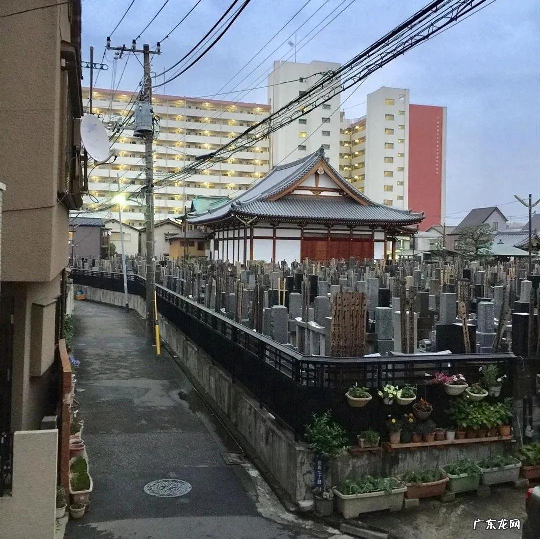 房中奇葩之坟景房 靠近墓地的房子风水