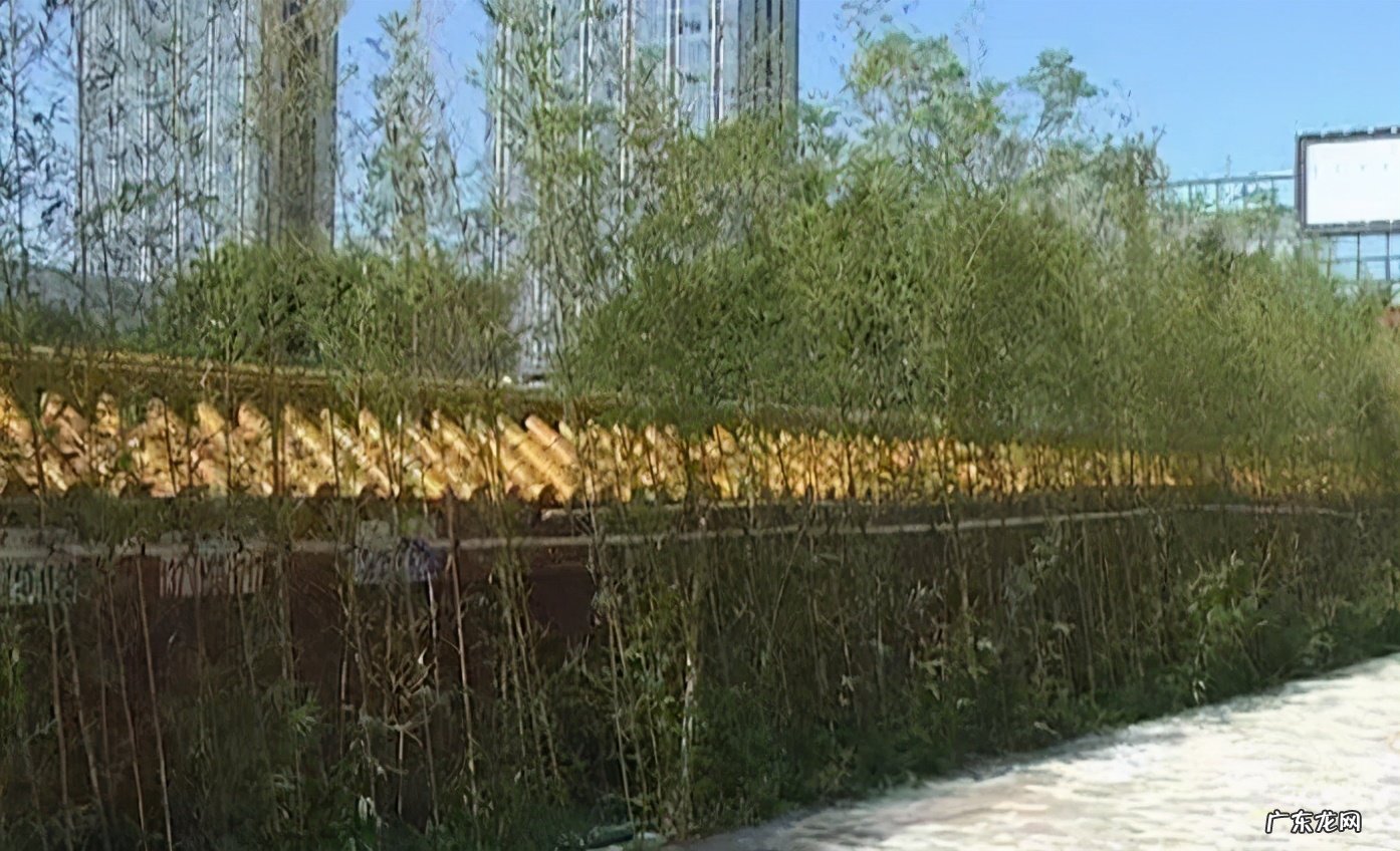 房中奇葩之坟景房 靠近墓地的房子风水