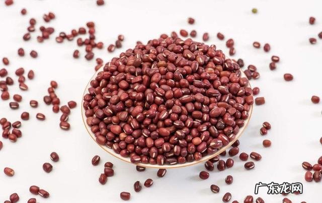 红豆和赤小豆一样吗?