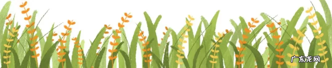 传播学就业方向 传播学就业方向及前景