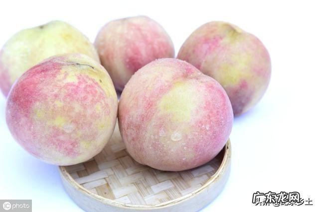 桃树苗未来三年新奇特品种是什么?