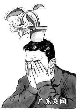 为什么说"成也萧何,败也萧何"?