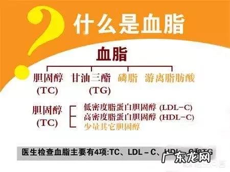 血脂高的人哪些食物不能吃?饮食如何降血脂?