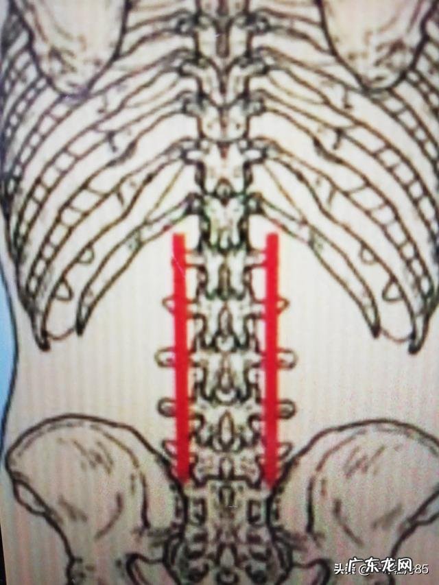 腰涨痛,并且还怕冷,用什么药好?