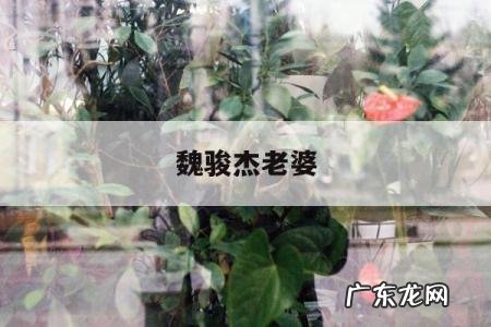 魏骏杰老婆「魏骏杰老婆张利华出生日期」