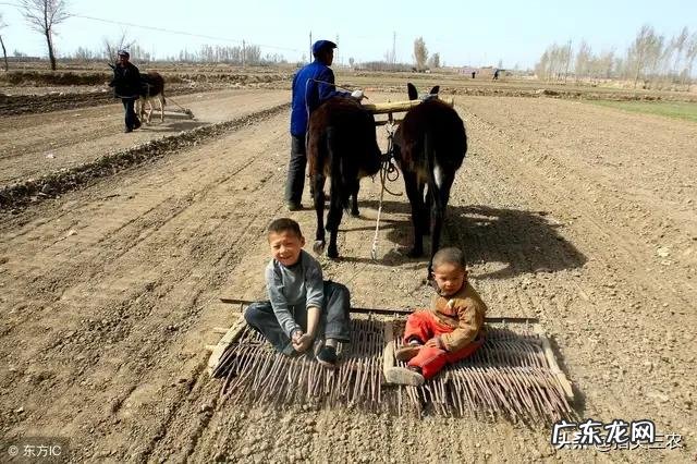 农村有老人说“有钱难买八月初一晴”,这是为什么呢?