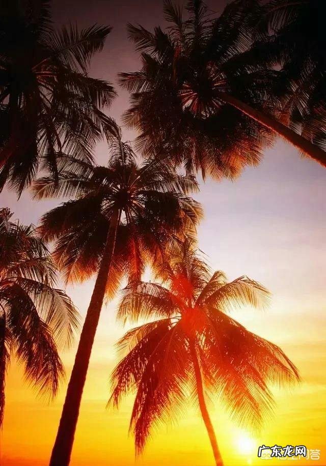 一个人达到什么境界,思想才可以超凡脱俗?