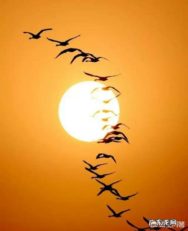 一个人达到什么境界,思想才可以超凡脱俗?