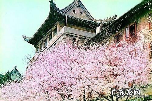 2020年高考,湖北省和武汉市的大学,录取线会断崖式下跌吗?