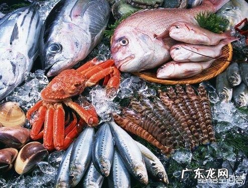 什么食物有助于健脑？