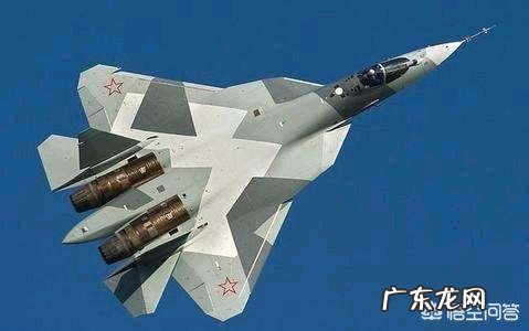 美国和俄罗斯的空军战斗机哪家强?