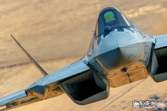 美国和俄罗斯的空军战斗机哪家强?