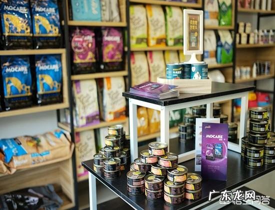 开宠物美容店前景及分析是怎样的?