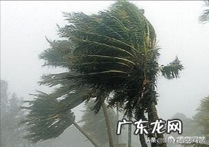 描写大雨的古诗有哪些比较好？