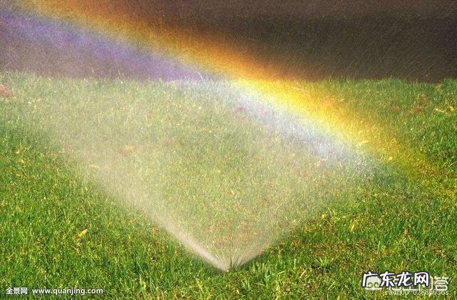 彩虹是怎么形成的?