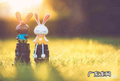 你认为什么是爱,爱是什么?