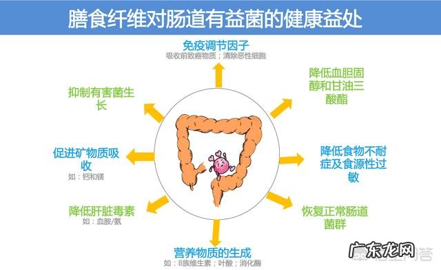 膳食纤维是健康减肥的必备营养吗?