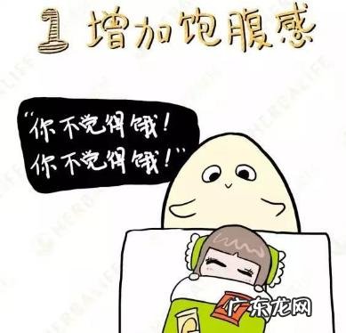 膳食纤维是健康减肥的必备营养吗?