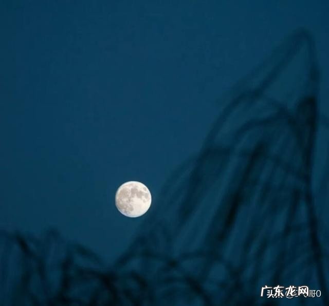 有关中秋的诗词歌赋你知道多少?