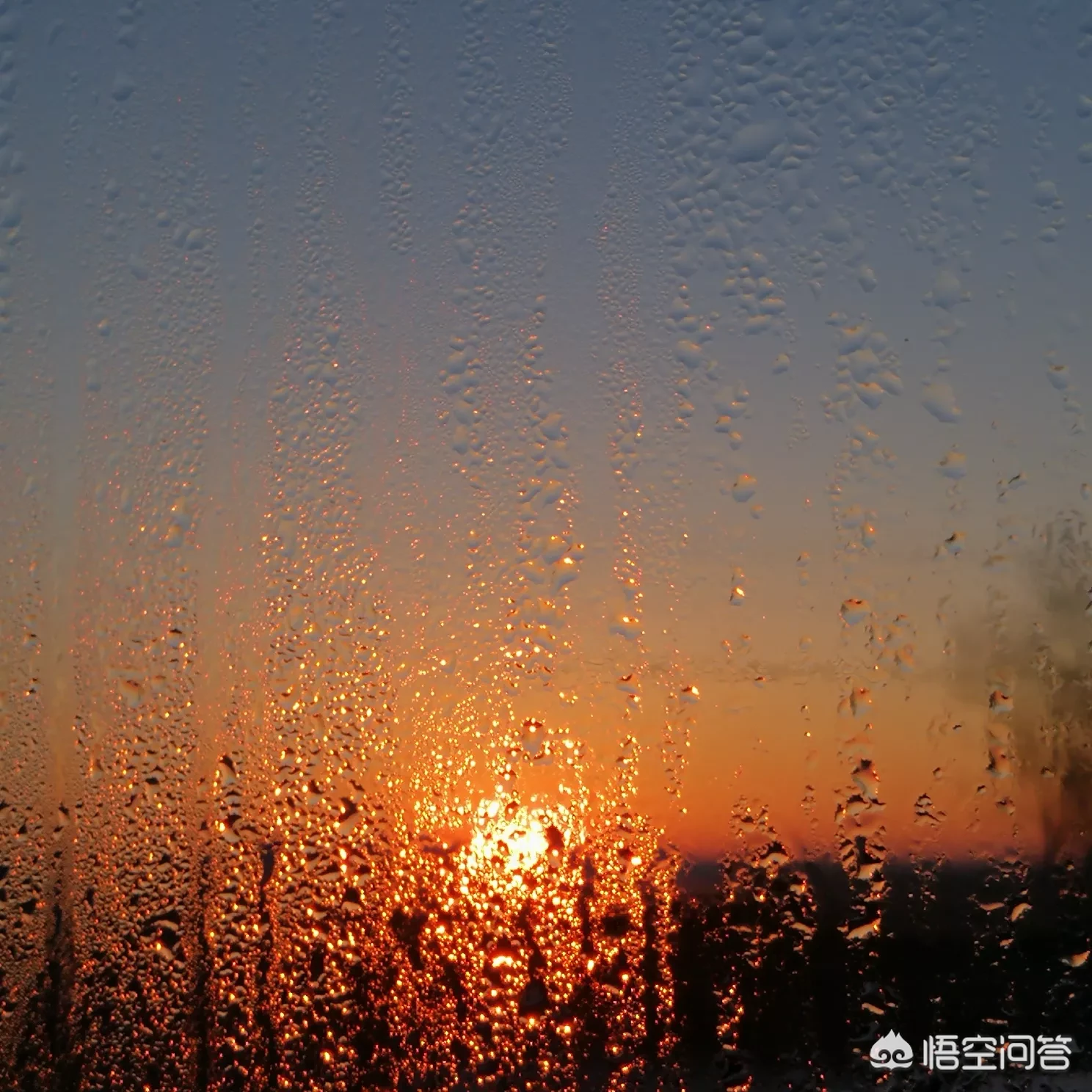 2019年春节即将到来,如果让你为自己的家里写春联,你会写什么?