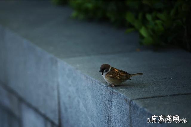 自卑,懒惰,不想学习怎么办?