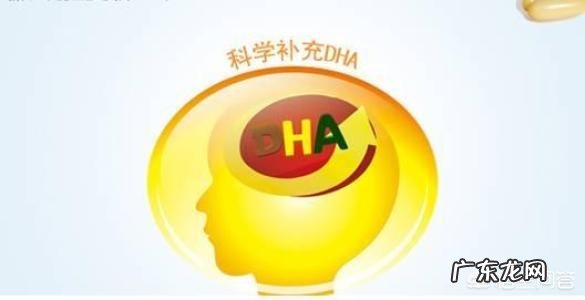 都说怀孕期间要多吃核桃,吃核桃有什么注意事项吗,不喜欢吃涩涩的核桃怎么办?