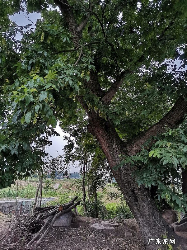 大家介绍一下家乡的特产，有利于全国人民了解你的家乡？