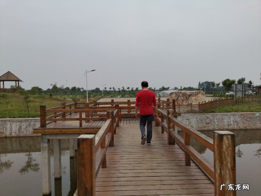 大家介绍一下家乡的特产，有利于全国人民了解你的家乡？