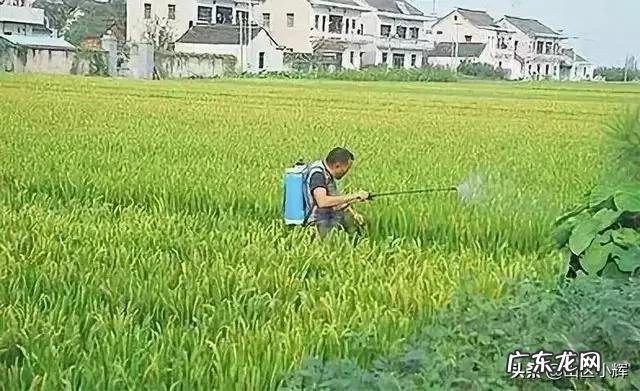 化肥有没有保质期?时间久了会不会失效?