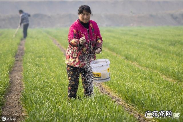 化肥有没有保质期?时间久了会不会失效?