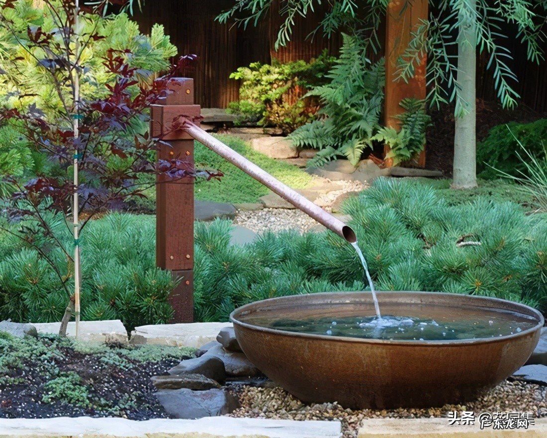 在花园里玩转水景,从设计到养护,这篇文章让你全都学会 房子的什么位置可以建水池