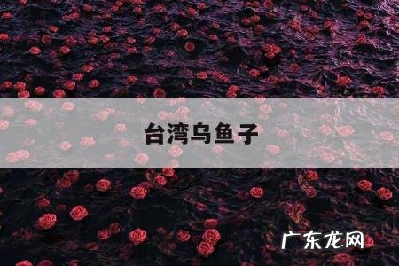 台湾乌鱼子「台湾乌鱼子的功效」