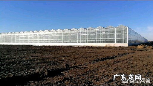 怎么打造成功的采摘园或休闲农庄?