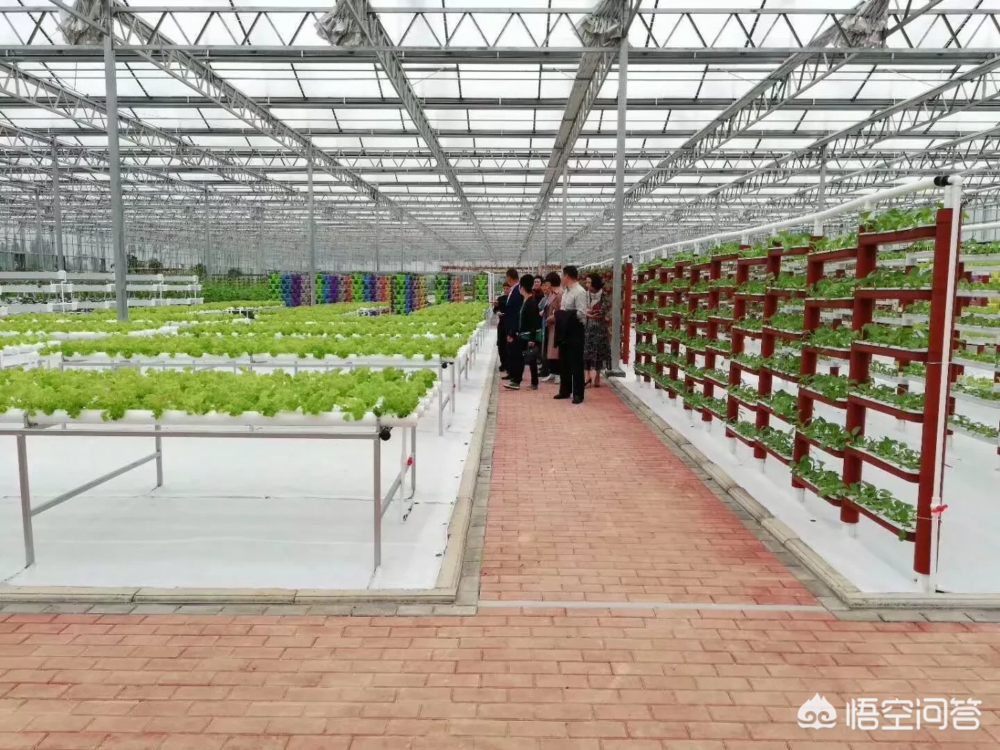 怎么打造成功的采摘园或休闲农庄?