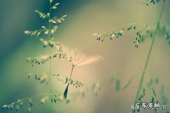 如何学会不计较不抱怨不生气?