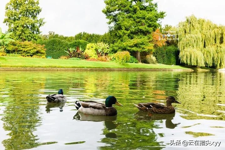 你喜欢阳光明媚,还是夜色如水?为什么?