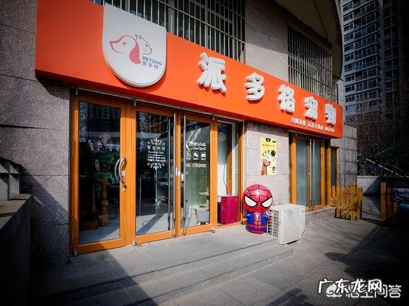 宠物各项目常识你知道多少?