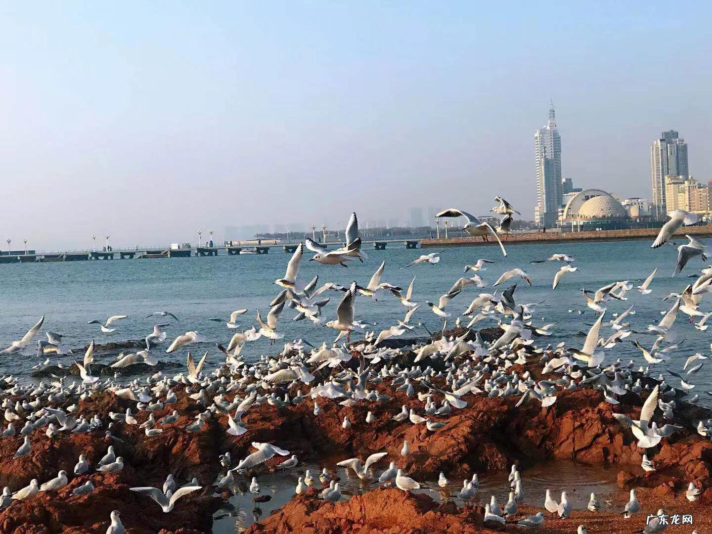 你见过哪些带有精彩瞬间的照片？