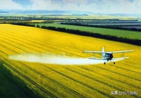 你见过哪些带有精彩瞬间的照片?