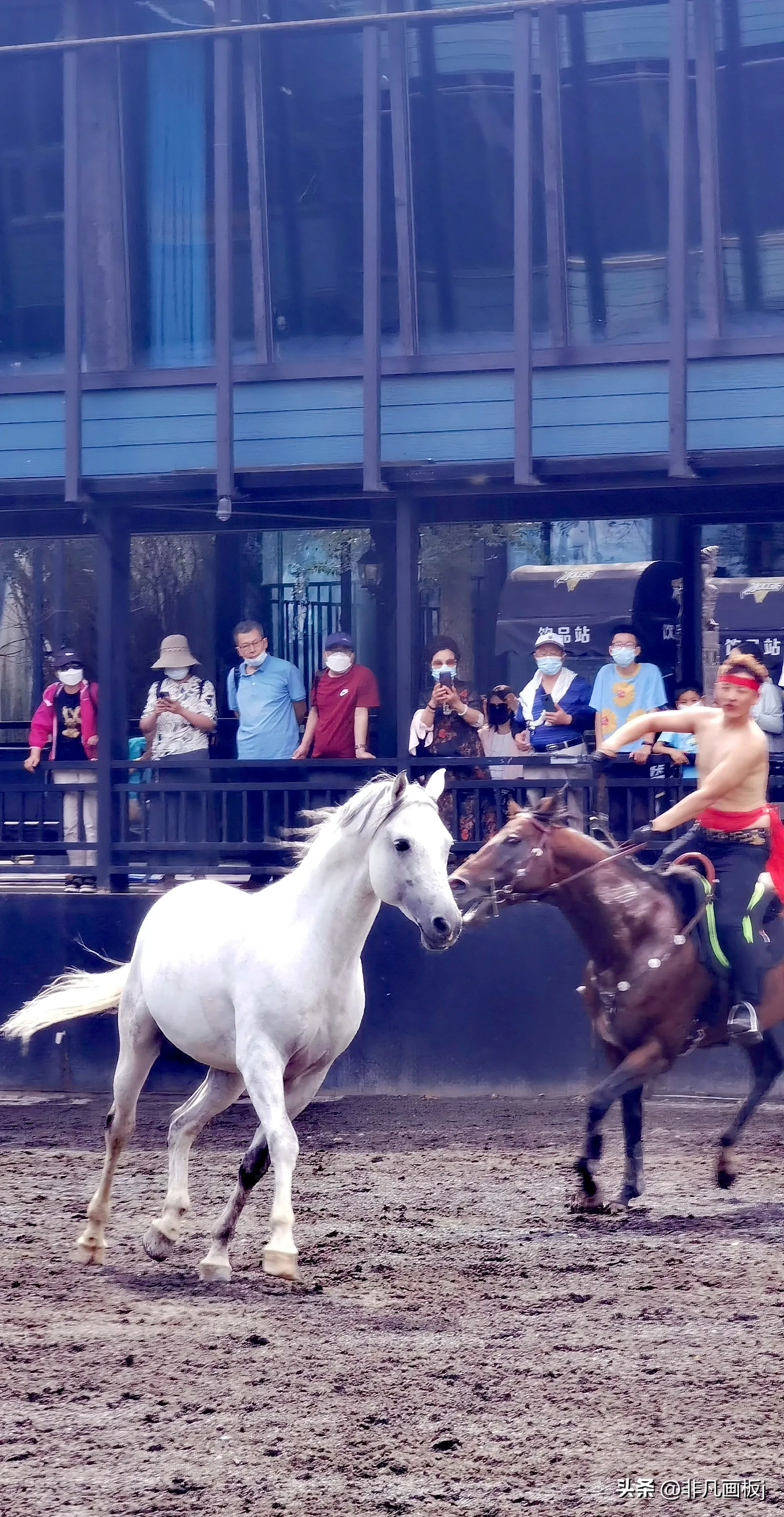 你见过哪些带有精彩瞬间的照片?