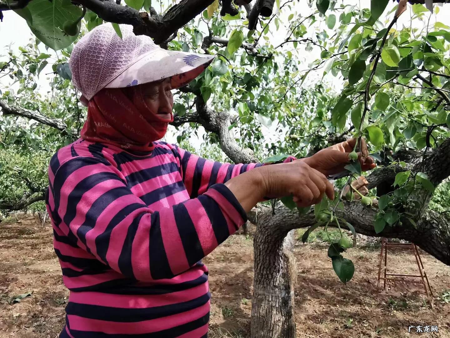 你见过哪些带有精彩瞬间的照片？